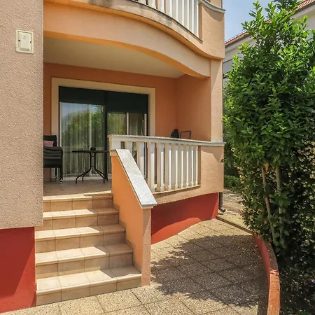 Eddie * Ζαντάρ