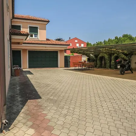 Eddie * Ζαντάρ