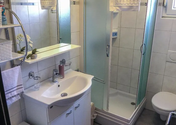 Eddie * Ζαντάρ