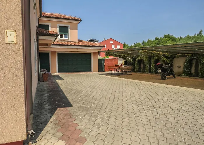 Eddie * Ζαντάρ